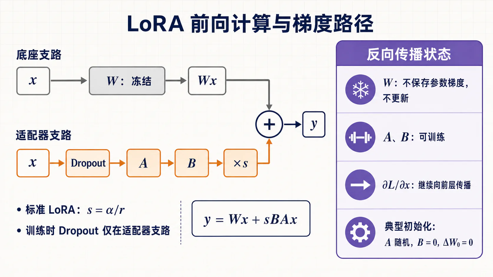 LoRA 前向与梯度路径