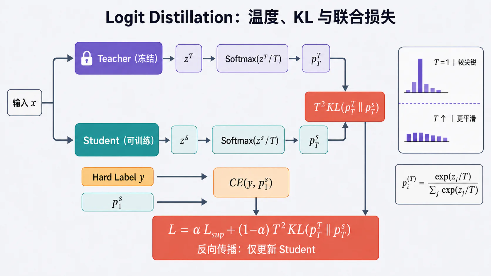 Logit、温度与 KL 混合损失