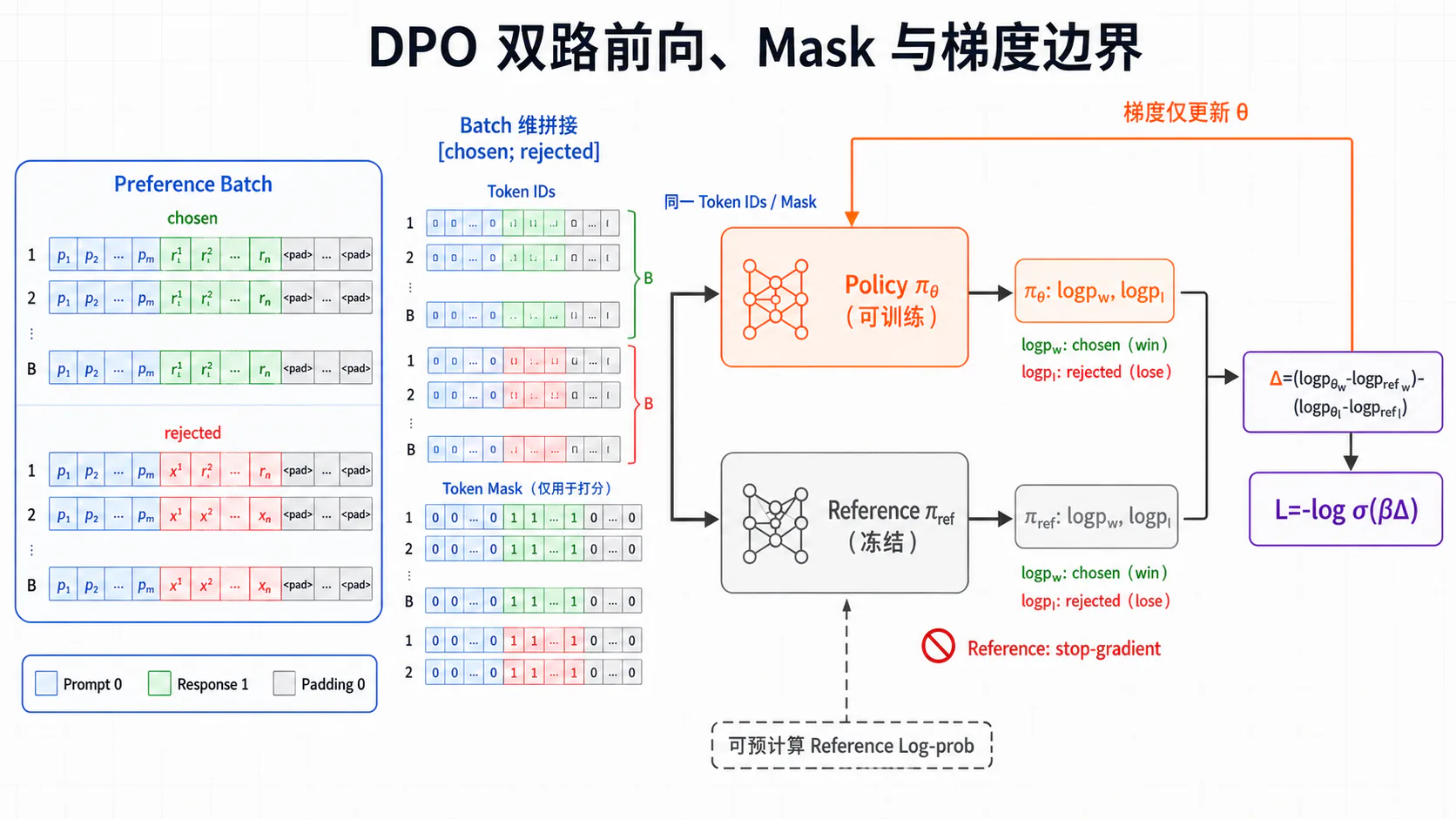 DPO 双路前向、掩码与梯度边界