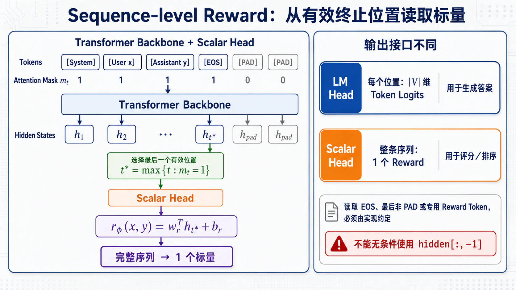 Transformer Scalar Head 与奖励读取